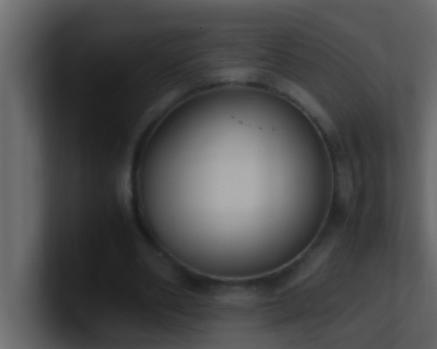 X0000101680486200807101424