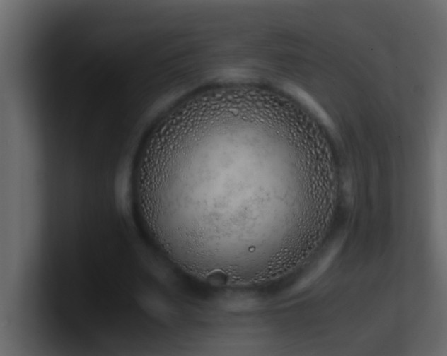 X0000101680487200807101424