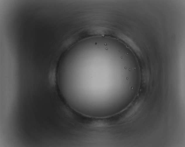 X0000101680489200807101424