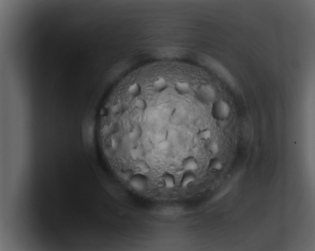 X0000101680491200807101424