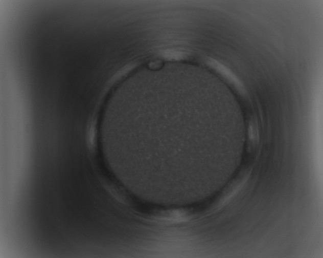 X0000101680492200807101424