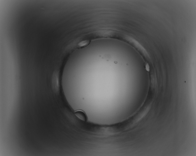 X0000101680493200807101424