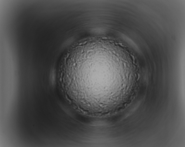 X0000101680494200807101424