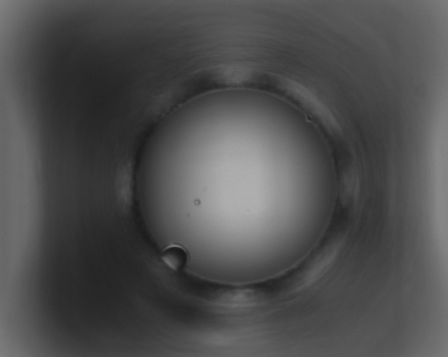 X0000101680497200807101424