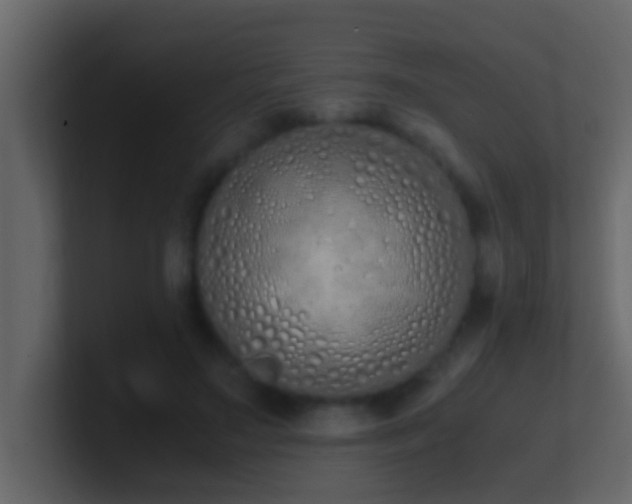 X0000101680499200807101424