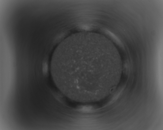 X0000101680500200807101424