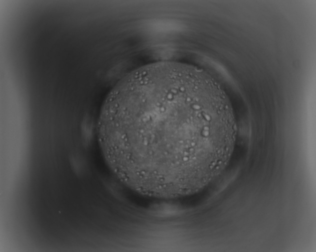 X0000101680503200807101424