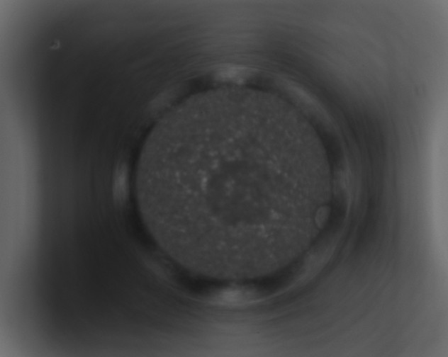 X0000101680504200807101424