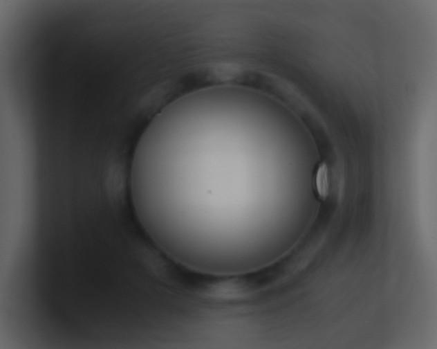 X0000101680505200807101424