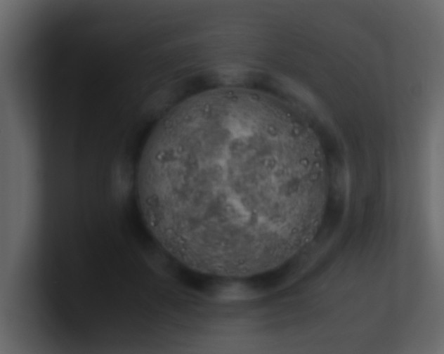 X0000101680507200807101424