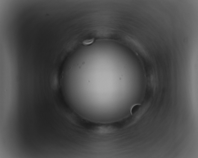 X0000101680508200807101424