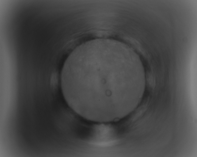 X0000101680511200807101424