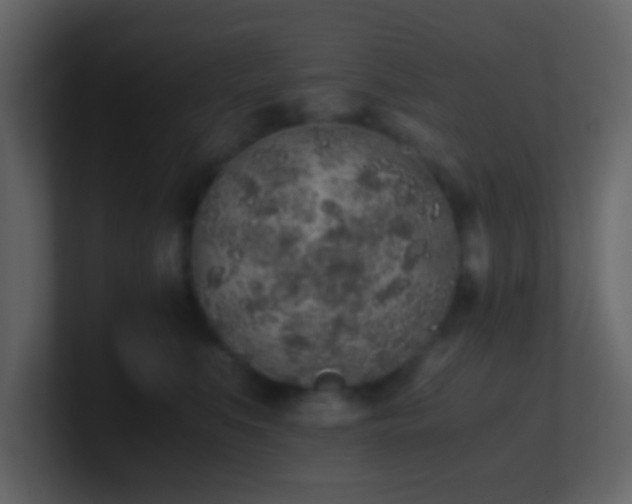 X0000101680519200807101424