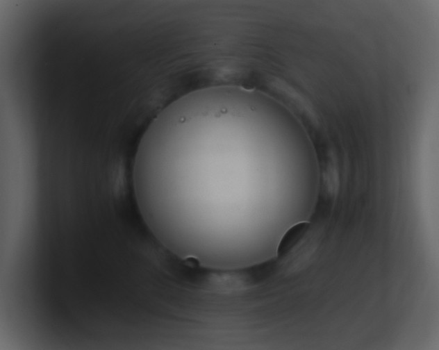 X0000101680520200807101424