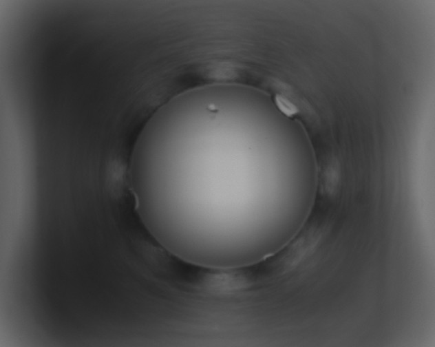 X0000101680521200807101424