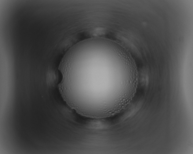 X0000101680523200807101424