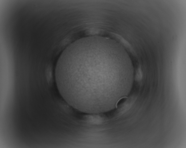 X0000101680524200807101424