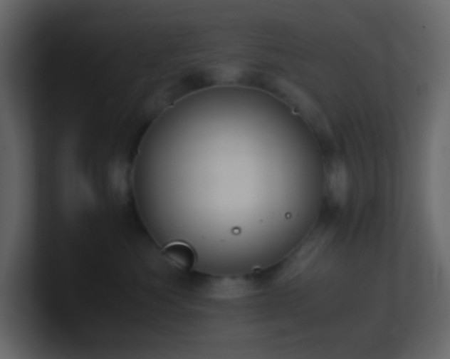 X0000101680525200807101424