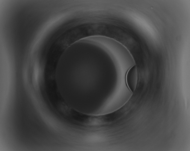 X0000101680526200807101424