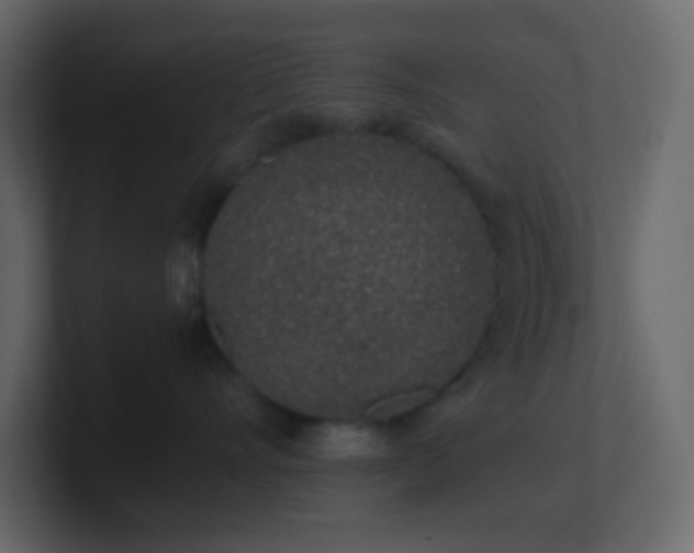 X0000101680528200807101424