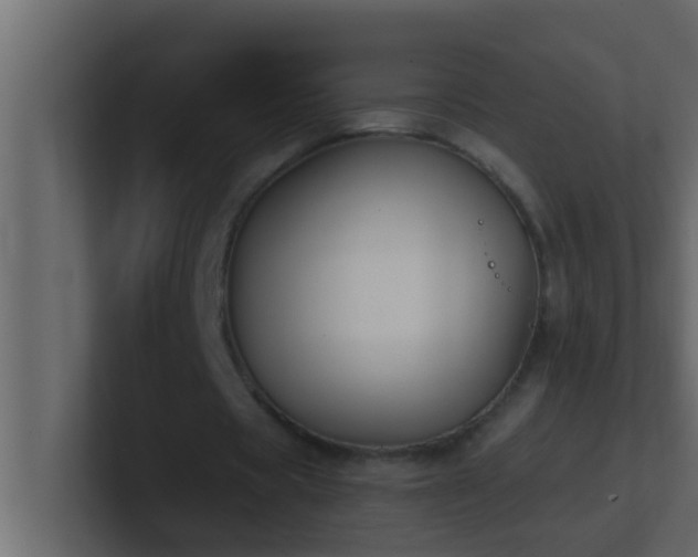 X0000101680529200807101423