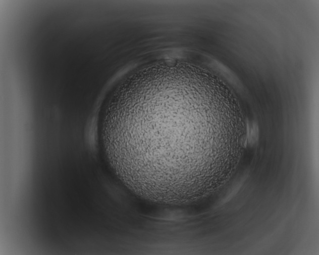 X0000101680531200807101423