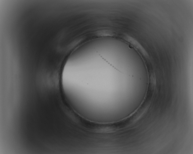 X0000101680533200807101423