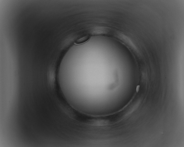 X0000101680539200807101423