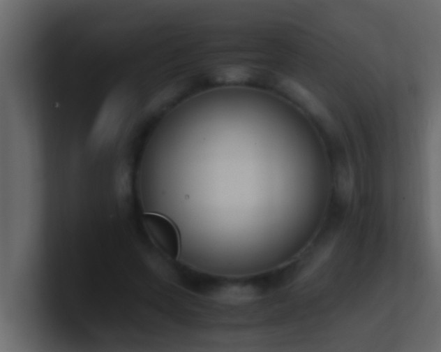 X0000101680543200807101423