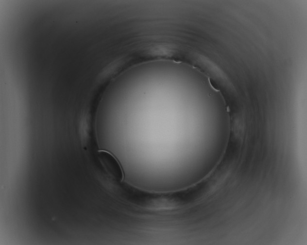 X0000101680544200807101423