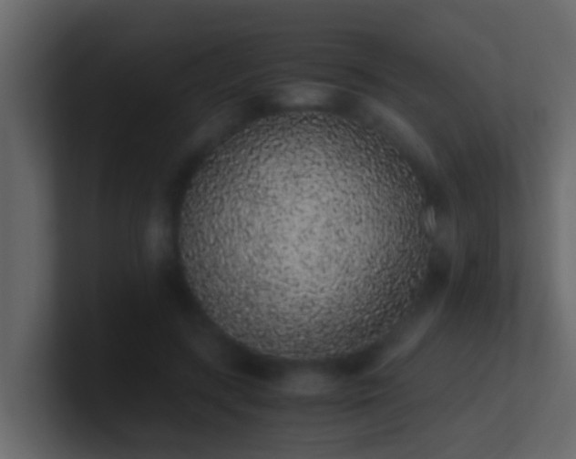 X0000101680547200807101423