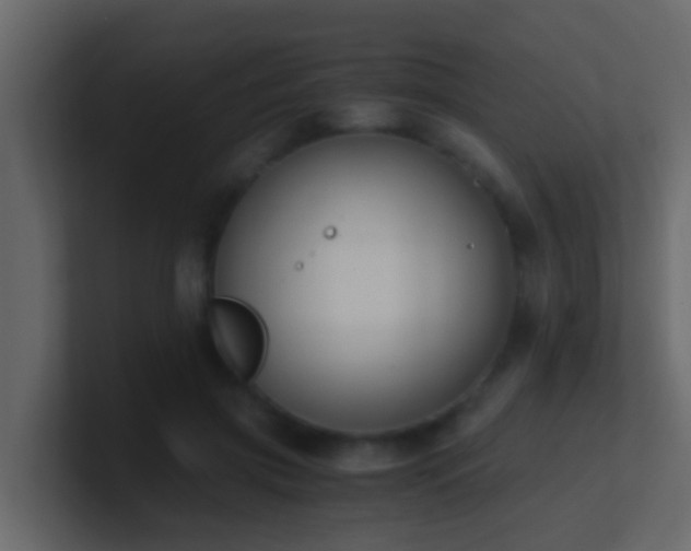 X0000101680549200807101424