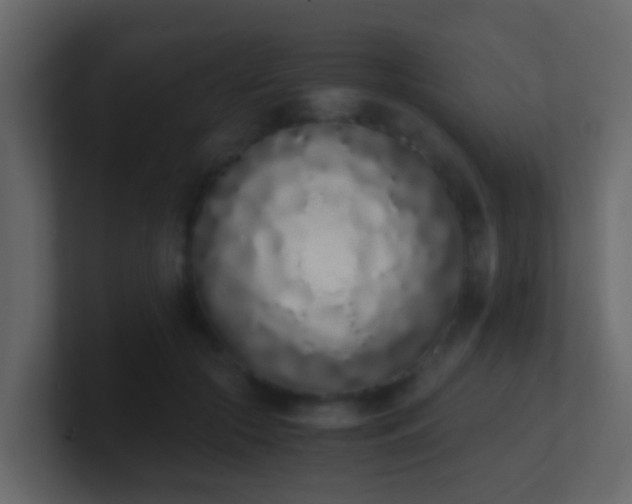 X0000101680553200807101424