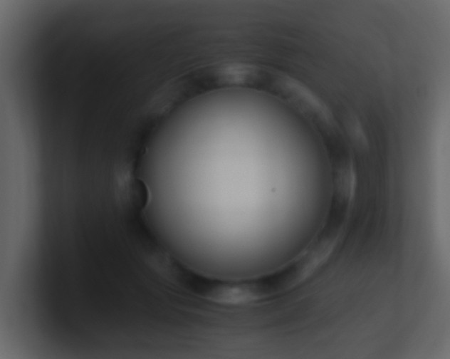 X0000101680557200807101424