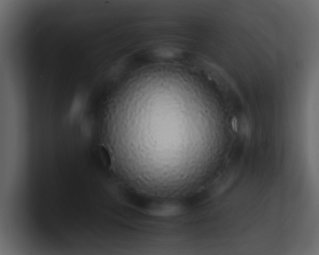 X0000101680559200807101424