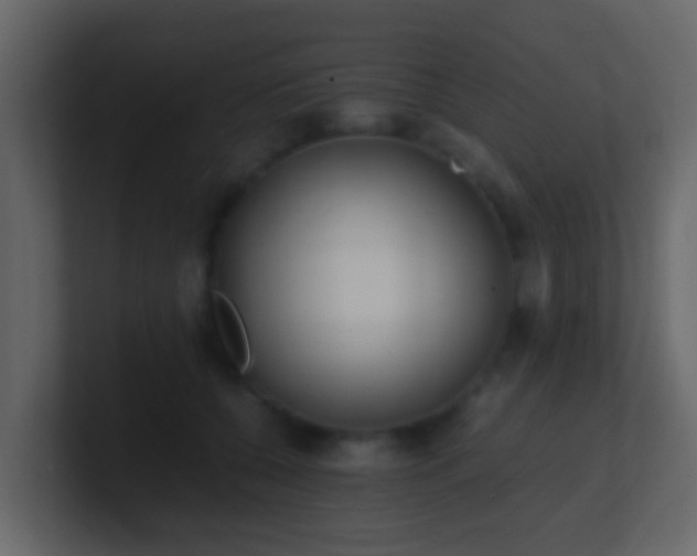 X0000101680560200807101424