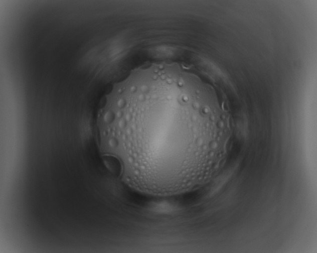 X0000101680561200807101424