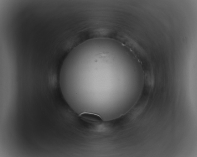 X0000101680564200807101424