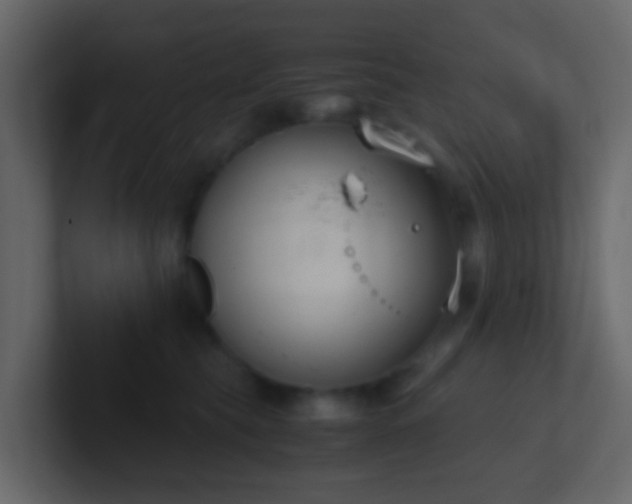 X0000101680565200807101424