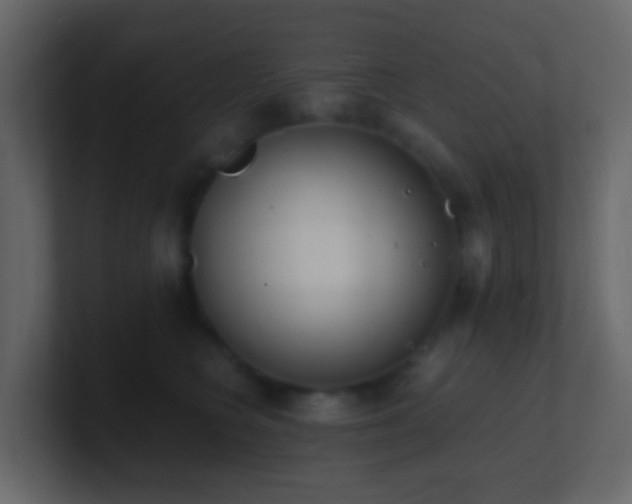 X0000101680566200807101424