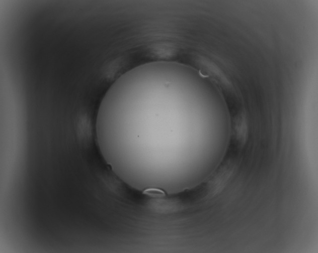 X0000101680568200807101424