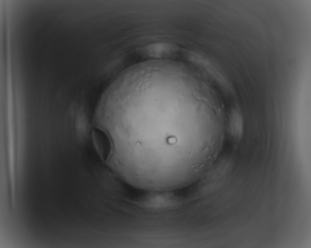 X0000101680569200807101424