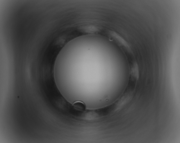 X0000101680572200807101424