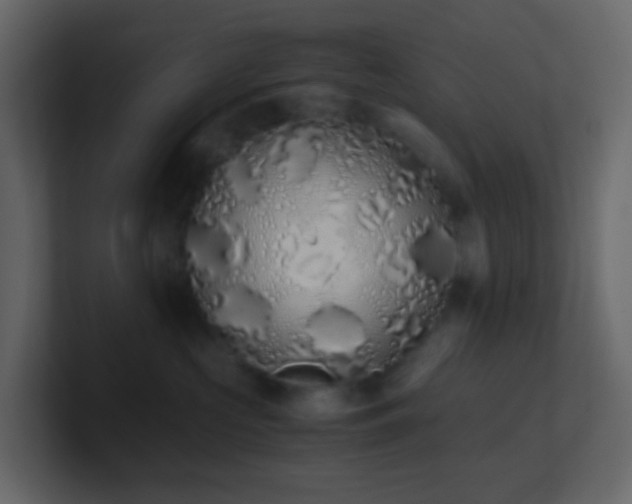 X0000101680573200807101424