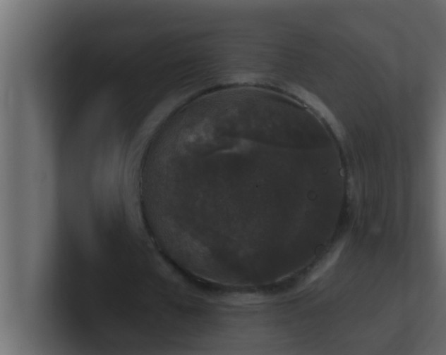 X0000101680577200807101423