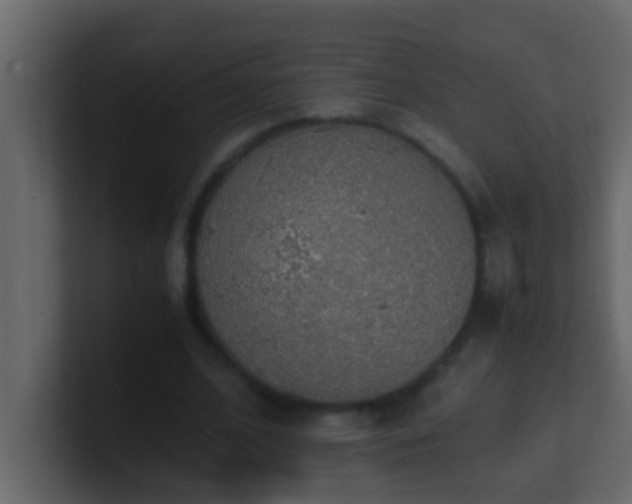 X0000101680584200807101423