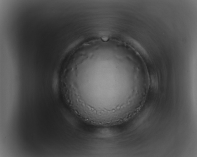 X0000101680588200807101423