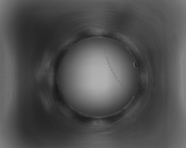 X0000101680591200807101423