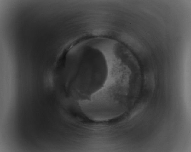 X0000101680592200807101423