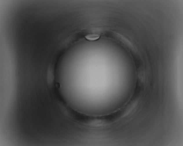 X0000101680593200807101423